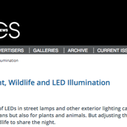 Optics and Photonics News Covers Environmental Impacts of Lighting