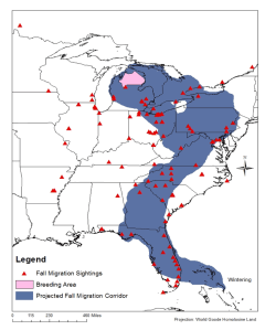 Fall and Spring migration routes predicted for Kirtland's Warbler from Michigan only.