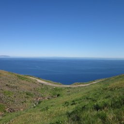 Invasion of the Earthworms