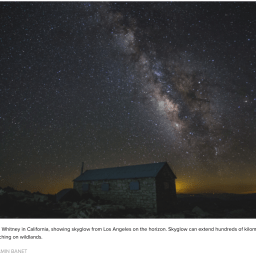 Lab Work in Knowable Magazine Profile