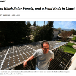 Unintended outcome? Required solar panels on new houses limits future urban forest