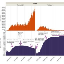Covid-19 Update: Why It Looks Like Death Rates are Going Down But Aren’t